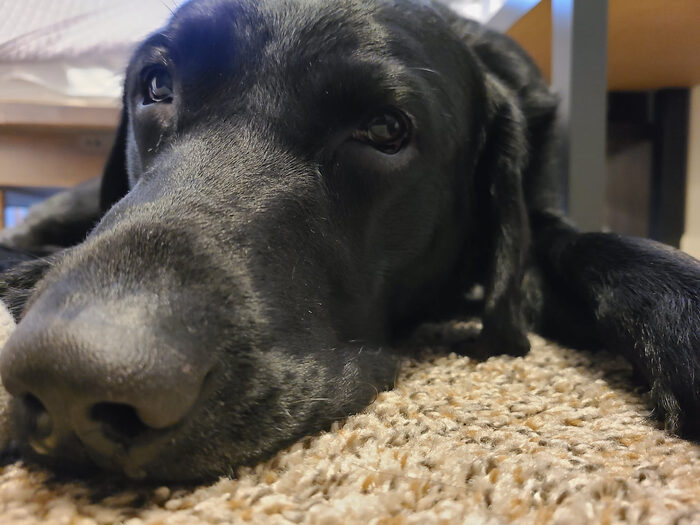 Cedric, Feb 2021