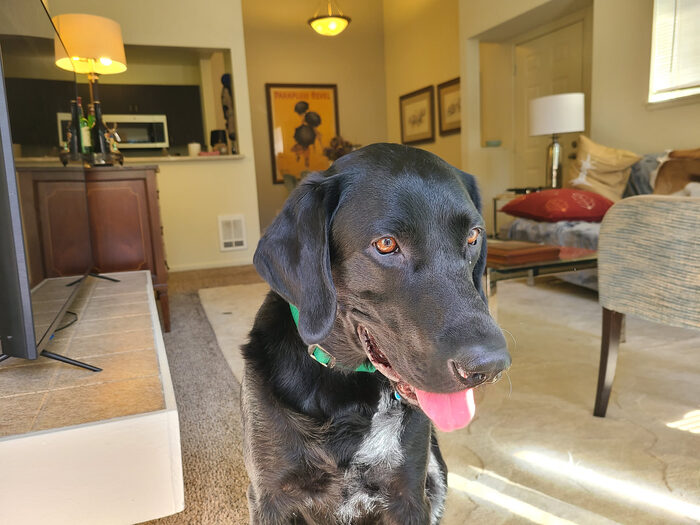 Cedric, May 2021