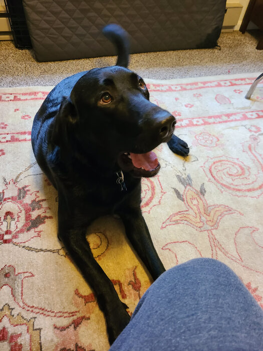 Cedric, Feb 2021