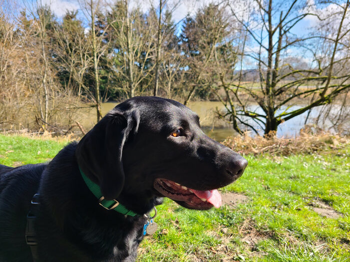 Cedric, Feb 2021