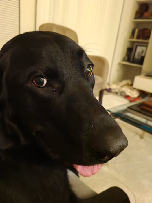 Cedric, Apr 2021