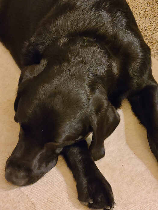 Cedric, Feb 2021