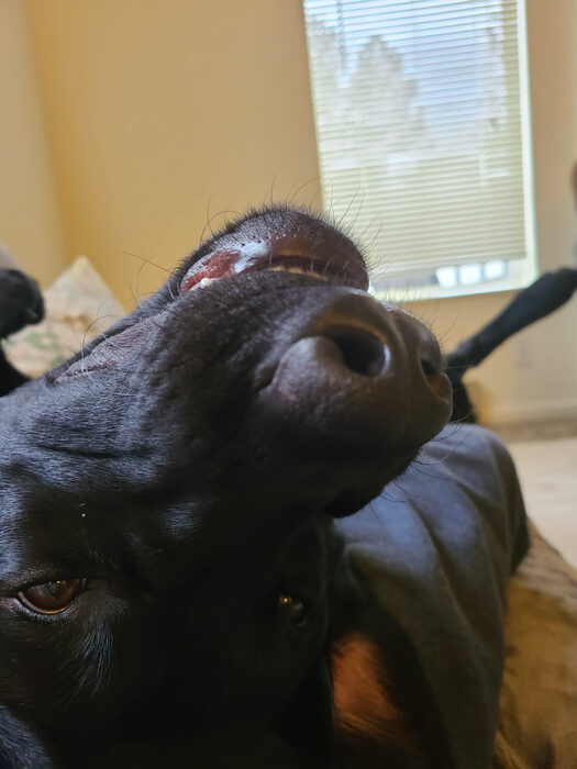 Cedric, Feb 2021