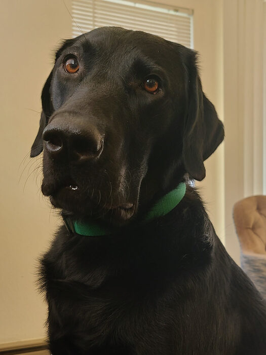 Cedric, Apr 2021