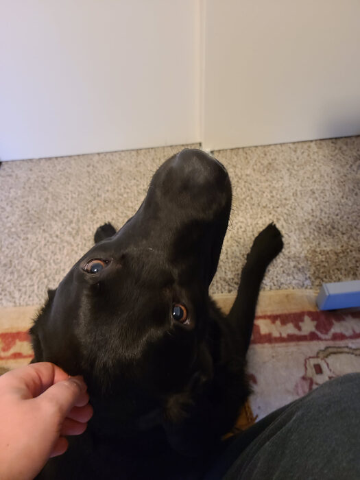 Cedric, Jan 2021