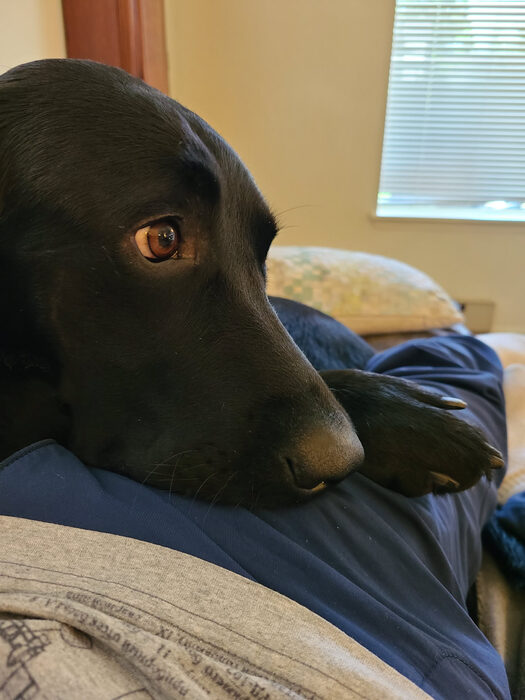 Cedric, May 2021